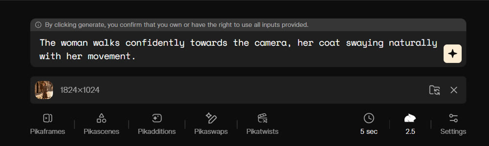 input prompt in the text box.png